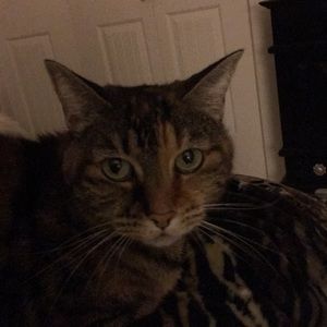 Meet your Posher, Coleen